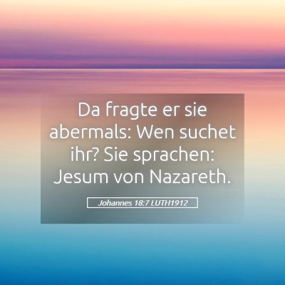 Picture 05 - Johannes 18:7 LUTH1912 - Da fragte er sie abermals: Wen suchet ihr? Sie - Bible Verse Picture