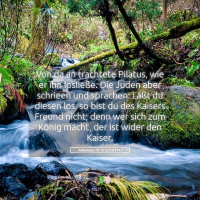 Picture 05 - Johannes 19:12 LUTH1912 - Von da an trachtete Pilatus, wie er ihn - Bible Verse Picture