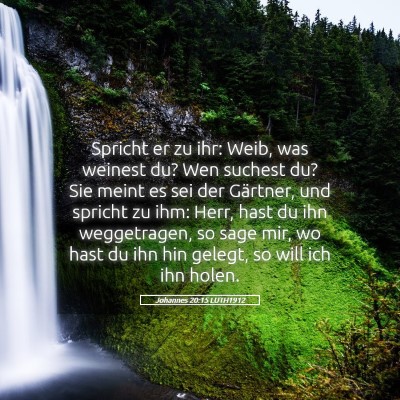 Picture 05 - Johannes 20:15 LUTH1912 - Spricht er zu ihr: Weib, was weinest du? Wen - Bible Verse Picture