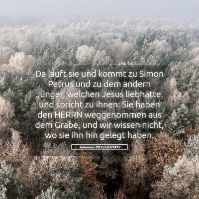 Picture 05 - Johannes 20:2 LUTH1912 - Da läuft sie und kommt zu Simon Petrus und zu - Bible Verse Picture