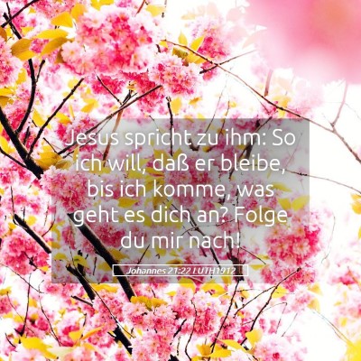 Picture 05 - Johannes 21:22 LUTH1912 - Jesus spricht zu ihm: So ich will, daß er - Bible Verse Picture