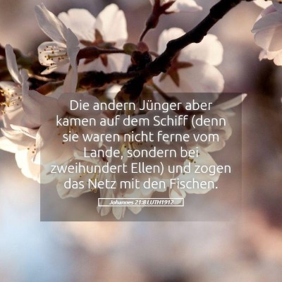 Picture 05 - Johannes 21:8 LUTH1912 - Die andern Jünger aber kamen auf dem Schiff - Bible Verse Picture