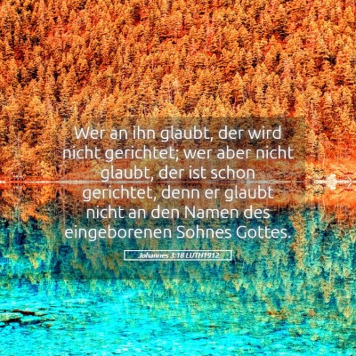 Picture 05 - Johannes 3:18 LUTH1912 - Wer an ihn glaubt, der wird nicht gerichtet; wer - Bible Verse Picture