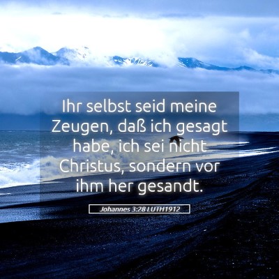 Picture 05 - Johannes 3:28 LUTH1912 - Ihr selbst seid meine Zeugen, daß ich gesagt - Bible Verse Picture