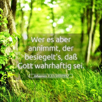 Picture 05 - Johannes 3:33 LUTH1912 - Wer es aber annimmt, der besiegelt's, daß Gott - Bible Verse Picture