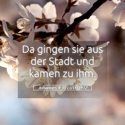 Picture 05 - Johannes 4:30 LUTH1912 - Da gingen sie aus der Stadt und kamen zu - Bible Verse Picture