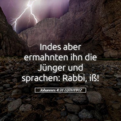 Picture 05 - Johannes 4:31 LUTH1912 - Indes aber ermahnten ihn die Jünger und - Bible Verse Picture