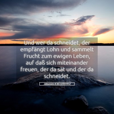 Picture 05 - Johannes 4:36 LUTH1912 - Und wer da schneidet, der empfängt Lohn und - Bible Verse Picture