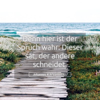 Picture 05 - Johannes 4:37 LUTH1912 - Denn hier ist der Spruch wahr: Dieser sät, der - Bible Verse Picture