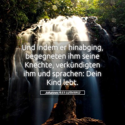 Picture 05 - Johannes 4:51 LUTH1912 - Und indem er hinabging, begegneten ihm seine - Bible Verse Picture