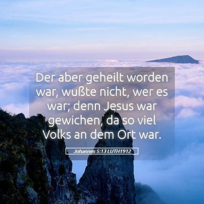 Picture 05 - Johannes 5:13 LUTH1912 - Der aber geheilt worden war, wußte nicht, wer es - Bible Verse Picture