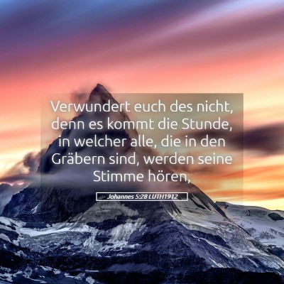 Picture 05 - Johannes 5:28 LUTH1912 - Verwundert euch des nicht, denn es kommt die - Bible Verse Picture