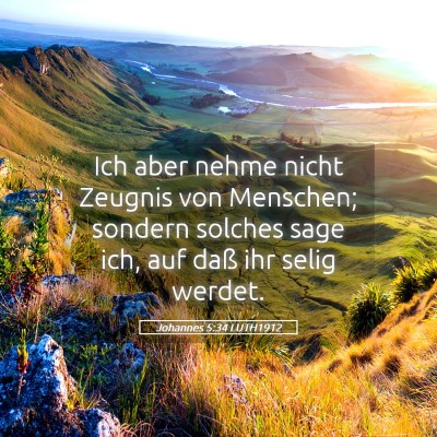 Picture 05 - Johannes 5:34 LUTH1912 - Ich aber nehme nicht Zeugnis von Menschen; - Bible Verse Picture