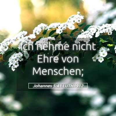 Picture 05 - Johannes 5:41 LUTH1912 - Ich nehme nicht Ehre von - Bible Verse Picture