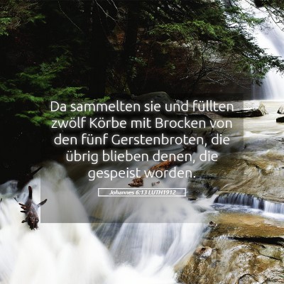 Picture 05 - Johannes 6:13 LUTH1912 - Da sammelten sie und füllten zwölf Körbe mit - Bible Verse Picture
