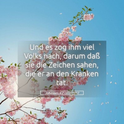 Picture 05 - Johannes 6:2 LUTH1912 - Und es zog ihm viel Volks nach, darum daß sie - Bible Verse Picture