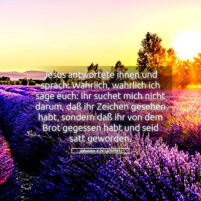 Picture 05 - Johannes 6:26 LUTH1912 - Jesus antwortete ihnen und sprach: Wahrlich, - Bible Verse Picture