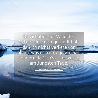 Picture 05 - Johannes 6:39 LUTH1912 - Das ist aber der Wille des Vaters, der mich - Bible Verse Picture