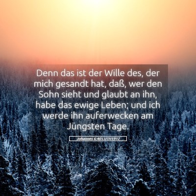Picture 05 - Johannes 6:40 LUTH1912 - Denn das ist der Wille des, der mich gesandt hat, - Bible Verse Picture