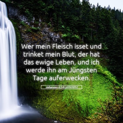 Picture 05 - Johannes 6:54 LUTH1912 - Wer mein Fleisch isset und trinket mein Blut, der - Bible Verse Picture
