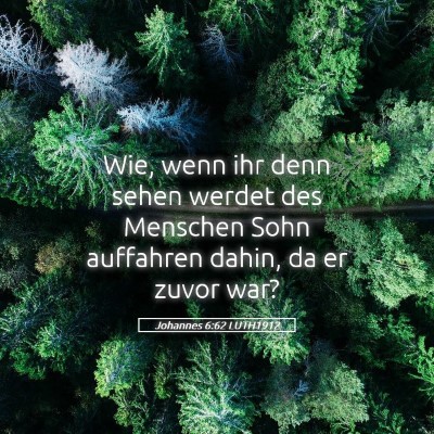 Picture 05 - Johannes 6:62 LUTH1912 - Wie, wenn ihr denn sehen werdet des Menschen Sohn - Bible Verse Picture