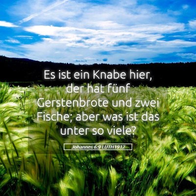 Picture 05 - Johannes 6:9 LUTH1912 - Es ist ein Knabe hier, der hat fünf Gerstenbrote - Bible Verse Picture