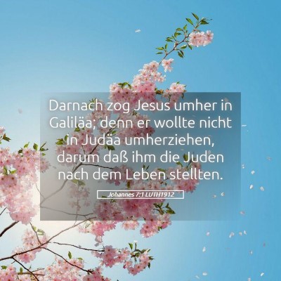 Picture 05 - Johannes 7:1 LUTH1912 - Darnach zog Jesus umher in Galiläa; denn er - Bible Verse Picture