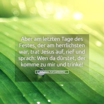 Picture 05 - Johannes 7:37 LUTH1912 - Aber am letzten Tage des Festes, der am - Bible Verse Picture