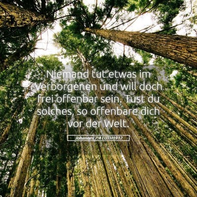 Picture 05 - Johannes 7:4 LUTH1912 - Niemand tut etwas im Verborgenen und will doch - Bible Verse Picture