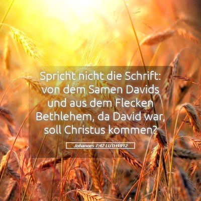 Picture 05 - Johannes 7:42 LUTH1912 - Spricht nicht die Schrift: von dem Samen Davids - Bible Verse Picture