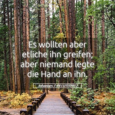 Picture 05 - Johannes 7:44 LUTH1912 - Es wollten aber etliche ihn greifen; aber niemand - Bible Verse Picture