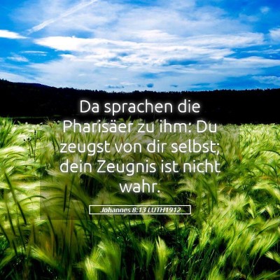 Picture 05 - Johannes 8:13 LUTH1912 - Da sprachen die Pharisäer zu ihm: Du zeugst von - Bible Verse Picture