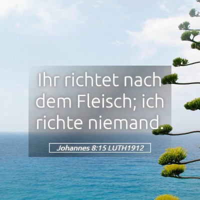 Picture 05 - Johannes 8:15 LUTH1912 - Ihr richtet nach dem Fleisch; ich richte - Bible Verse Picture