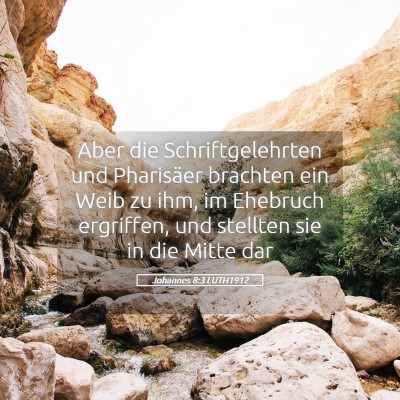 Picture 05 - Johannes 8:3 LUTH1912 - Aber die Schriftgelehrten und Pharisäer brachten - Bible Verse Picture