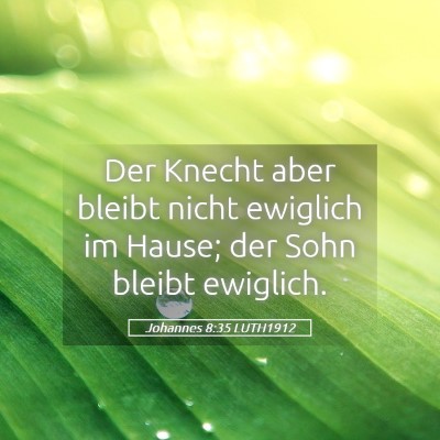 Picture 05 - Johannes 8:35 LUTH1912 - Der Knecht aber bleibt nicht ewiglich im Hause; - Bible Verse Picture