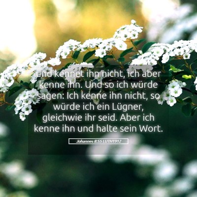 Picture 05 - Johannes 8:55 LUTH1912 - und kennet ihn nicht, ich aber kenne ihn. Und so - Bible Verse Picture