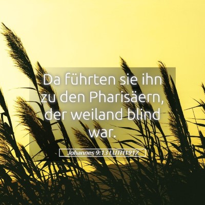 Picture 05 - Johannes 9:13 LUTH1912 - Da führten sie ihn zu den Pharisäern, der - Bible Verse Picture