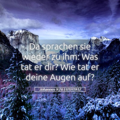 Picture 05 - Johannes 9:26 LUTH1912 - Da sprachen sie wieder zu ihm: Was tat er dir? - Bible Verse Picture