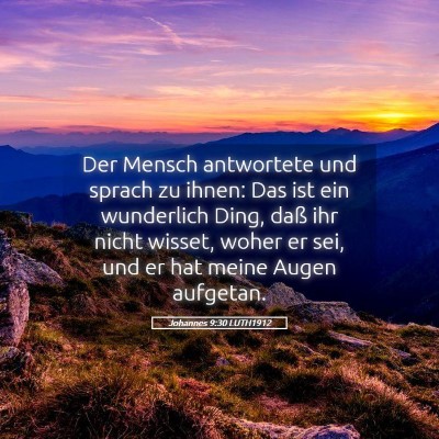Picture 05 - Johannes 9:30 LUTH1912 - Der Mensch antwortete und sprach zu ihnen: Das - Bible Verse Picture