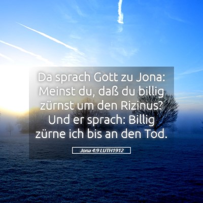 Picture 05 - Jona 4:9 LUTH1912 - Da sprach Gott zu Jona: Meinst du, daß du billig - Bible Verse Picture