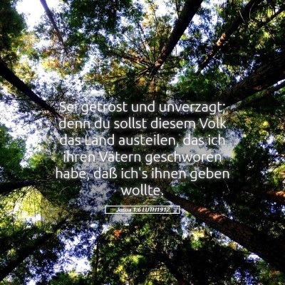 Picture 05 - Josua 1:6 LUTH1912 - Sei getrost und unverzagt; denn du sollst diesem - Bible Verse Picture