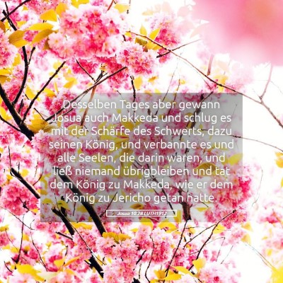 Picture 05 - Josua 10:28 LUTH1912 - Desselben Tages aber gewann Josua auch Makkeda - Bible Verse Picture