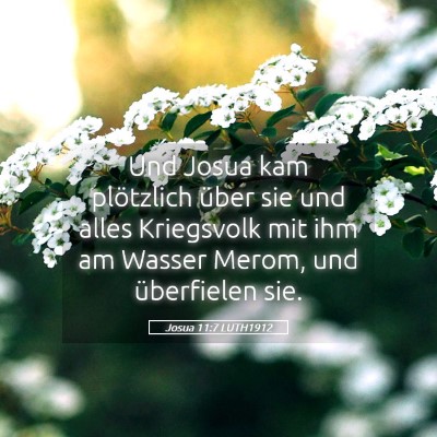 Picture 05 - Josua 11:7 LUTH1912 - Und Josua kam plötzlich über sie und alles - Bible Verse Picture