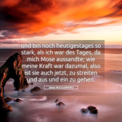Picture 05 - Josua 14:11 LUTH1912 - und bin noch heutigestages so stark, als ich war - Bible Verse Picture