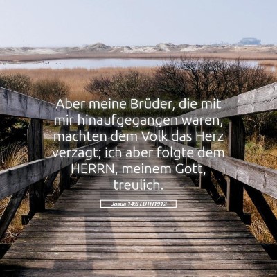 Picture 05 - Josua 14:8 LUTH1912 - Aber meine Brüder, die mit mir hinaufgegangen - Bible Verse Picture