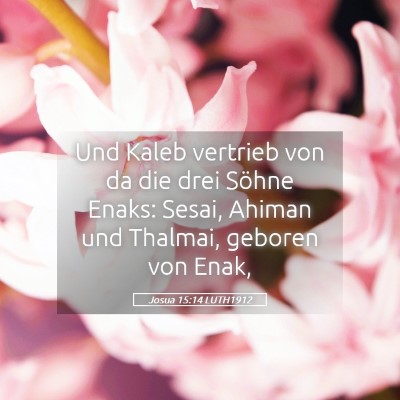 Picture 05 - Josua 15:14 LUTH1912 - Und Kaleb vertrieb von da die drei Söhne Enaks: - Bible Verse Picture