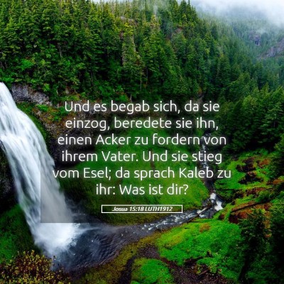 Picture 05 - Josua 15:18 LUTH1912 - Und es begab sich, da sie einzog, beredete sie - Bible Verse Picture