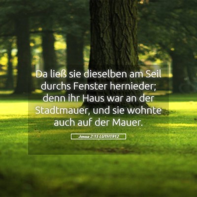 Picture 05 - Josua 2:15 LUTH1912 - Da ließ sie dieselben am Seil durchs Fenster - Bible Verse Picture