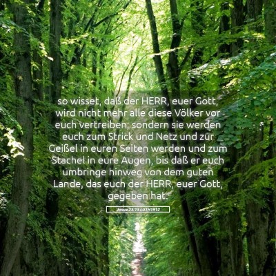Picture 05 - Josua 23:13 LUTH1912 - so wisset, daß der HERR, euer Gott, wird nicht - Bible Verse Picture