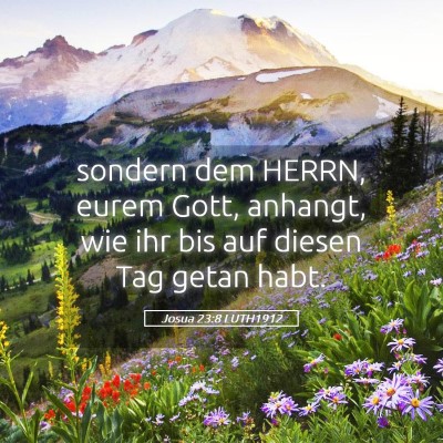 Picture 05 - Josua 23:8 LUTH1912 - sondern dem HERRN, eurem Gott, anhangt, wie ihr - Bible Verse Picture